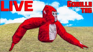 🔴Gorilla Tag New PRIDE Update | LIVE