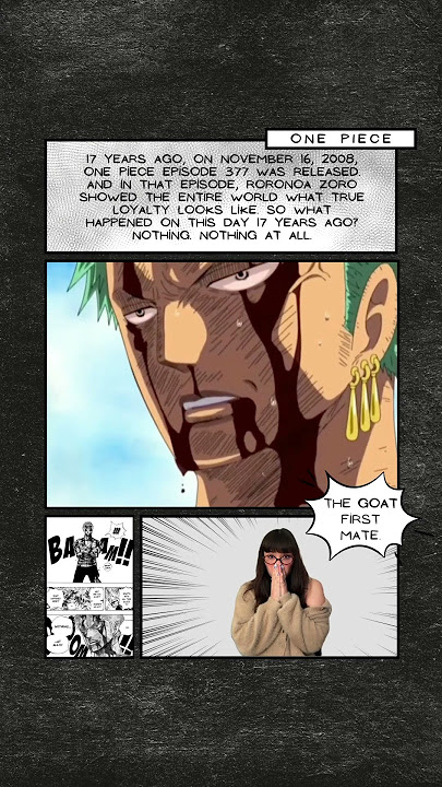 One Piece: Zoro's 