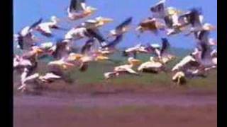 Trips in Danube Delta