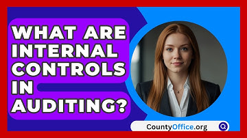 What Are Internal Controls In Auditing? - CountyOffice.org