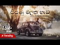 Pipunu Malaka | පිපුණු මලක හැඩ - Cover by Thiwanka Mihiran