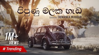 Pipunu Malaka | පිපුණු මලක හැඩ - Cover by Thiwanka Mihiran chords