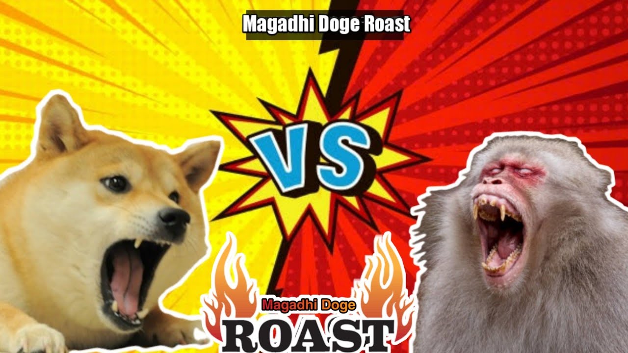 Dog vs Monkey fight funny meme|dog vs monkey fight video in maharashtra ...