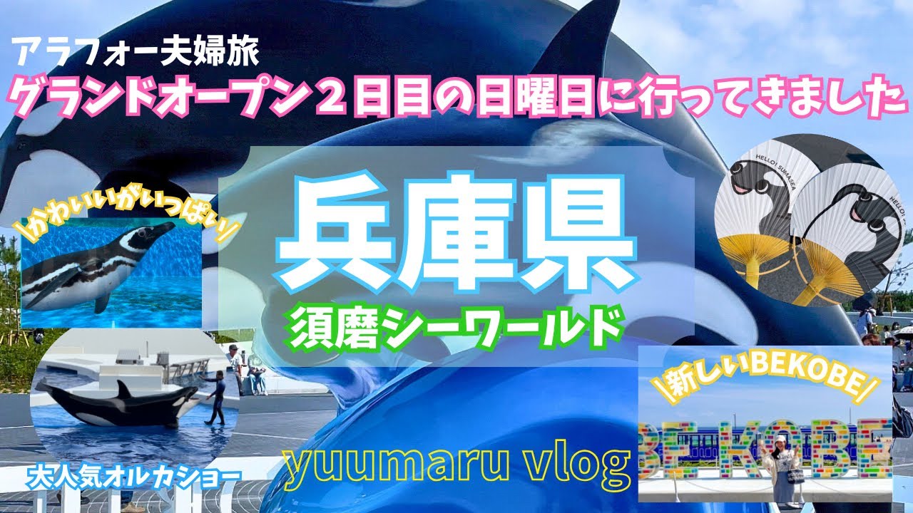 須磨シーワールド開園２日目の日曜日に行ってきました【夫婦でおでかけvlog】