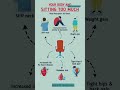 Health Risks of Sitting Too Much | Important Body Problems Explained | #shorts #healthylifestyle