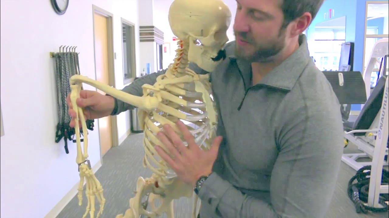 Exercises That Cause Shoulder Pain Dips YouTube