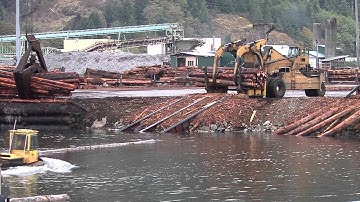 Log Sort Operations - Gold River, Vancouver Island