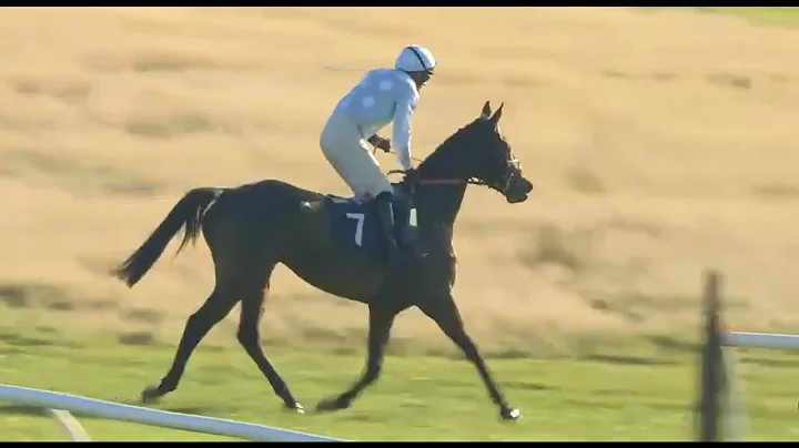 **RACE2 - HEXHAM |  UK | ON 07 NOV 2025