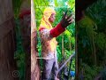#short video shmashan Ghat ke murdon ❤️❤️❤️❤️💯