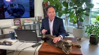 Matt Zaffino announcing the 2020 Furball ONLINE by Feral Cat Coalition of Oregon 544 views 4 years ago 34 seconds