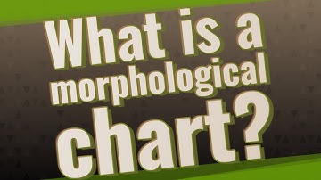 What is a morphological chart?