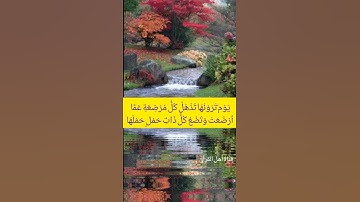 يَا أيها الناس اتقوا ربكم إِن زلزلة الساعة شيء عظيم //حالات واتس اب من القرآن الكريم