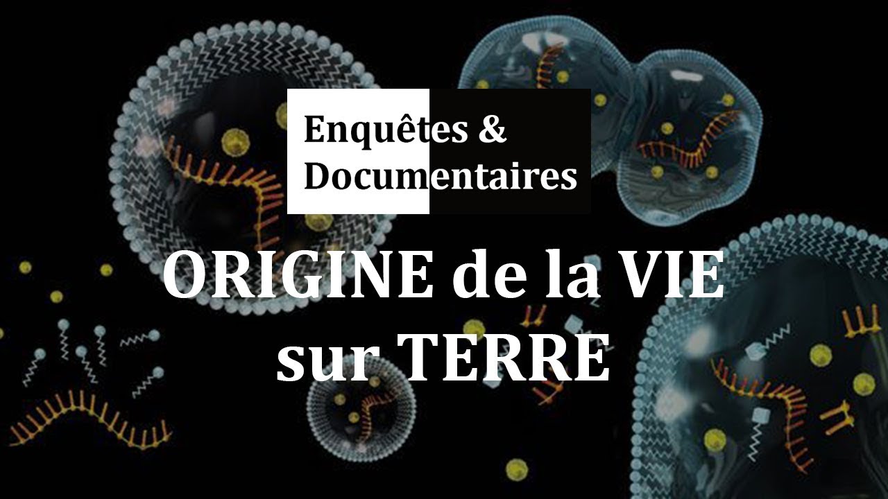 ORIGINE de la VIE sur TERRE Documentaire, Reportage HD 2018 YouTube ORIGINE de la VIE sur TERRE Documentaire, Reportage HD 2018 YouTube