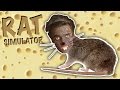 LIVING THAT RAT LIFE | Rat Simulator