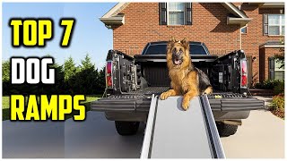 ✅Top 6 Best Dog Ramps 2022 Reviews