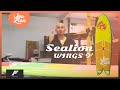 Dcouvrez la sealion wings 9 