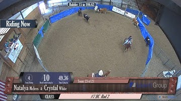 Big Sky Ranch Sorting Saddle Series Finals - #7 HC - Round #2 - Ride #23