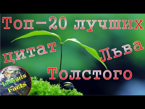 Video: Tolstoi Synnit Ja Katumus - Vaihtoehtoinen Näkymä