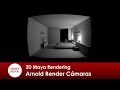 3D Maya 301 Rendering Arnold Camaras