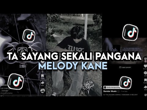 DJ TA SAYANG SEKALI PANGANA X MELODY KANE || SLOWED REVRB VIRAL TIKTOK - Nando rmx