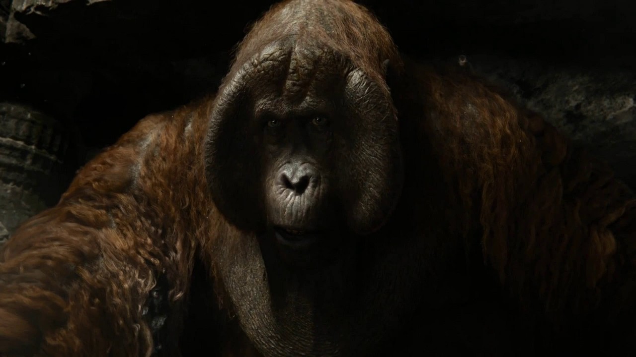 The Jungle Book 2016 - I Wan'na be like you - Polish /w translation.