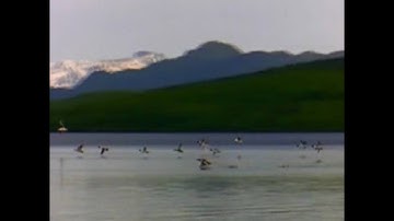 Windows Vista Video Sample #3