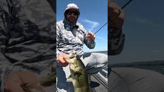 Tim's Secret Bait For Flipping Cover! 🤯