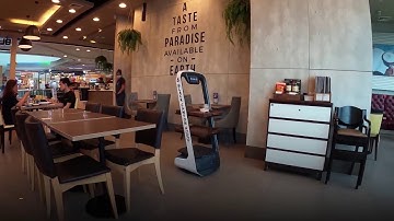 Quán cà phê sử dụng robot phục vụ thức uống cho khách