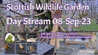 Day Stream September 8th 2023 | Bird Feeders, Wildlife Cameras Scotland UK from SWG