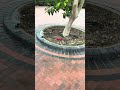 Another one done #blockpaving #blockcutter #landscape #albania #viral
