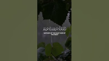 "الله نور السماوات والأرض" 🌟 تلاوة تشرح الصدر | سورة النور الآية 35 بصوت ياسر الدوسري