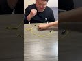 Magnetic chess Brain Power Test game