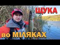 Осінь час спінінгу Рибалка на щуку і окуня