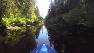 Alumaski: Rocking Juneau, Alaska