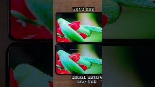 Ips Lcd Vs Poled Display