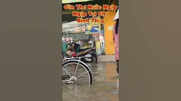 CẦN THƠ NƯỚC NGẬP 481 #shorts