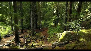 1448735 uhd 4096 2160 24fps