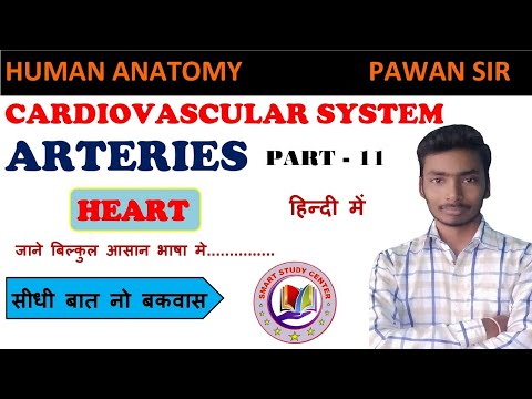 Arteries | Arterial System | Cardiovascular System | In Hindi | By