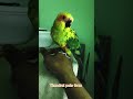 mango kutti 🥰🥰😘😘😘