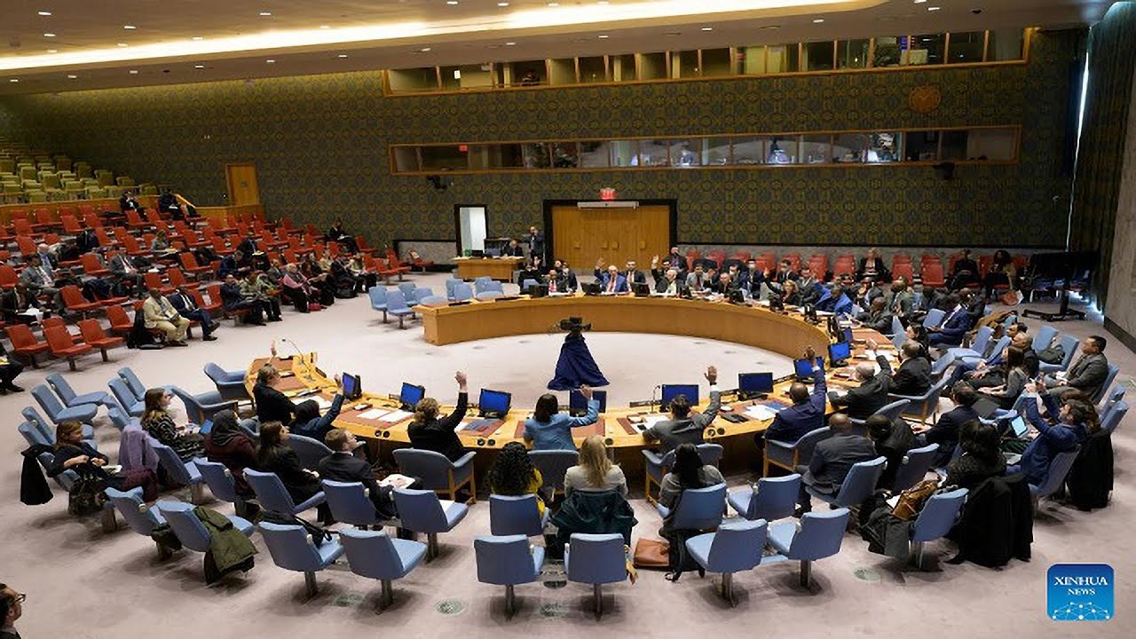 UN Security Council Lifts Arms Embargo on the DRC - YouTube