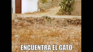 Encuentra el gato en esta imagen screenshot 4