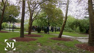 New microforests grow in Elizabeth