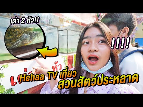 ตะลุยเที่ยวสัตว์แปลก !! พัทยา 1 วัน ดูเต่า 2 หัว