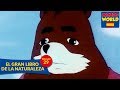 EL GRAN LIBRO DE LA NATURALEZA | Episodio 29 | series animadas para niños | todos en español