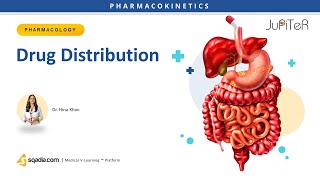 Drug Distribution | Pharmacokinetics | Medical Online Education | V-Learning™ | sqadia.com