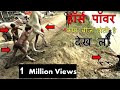 ये घोड़ा आपको जवाब देगा What Is Horse Power ? Watch Horse Bathing And See ...