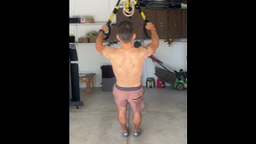 TRX reverse fly