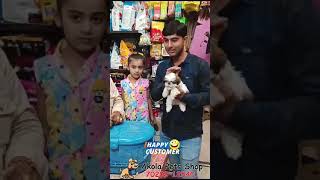 Shih tzu puppy hand over 👍 Akola Pet shop 7020912540 😊💯 #akolapetshop #youtubevideos