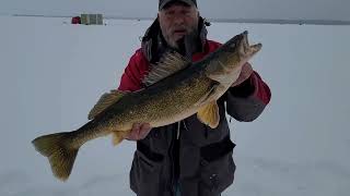 Congratulations, Matt, on a 30½ Inch 10 lbs Lake Michigan Walleye