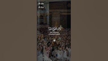 إن الصفا والمروة من شعائر الله / القارئ ابراهيم شرف ابوطلب